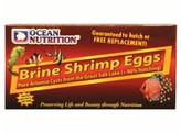 Artemia/Brine Shrimp Eggs  box   50g