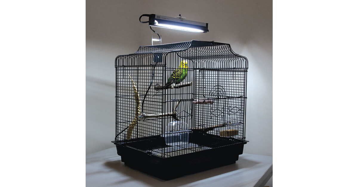 Arcadia PureSun Bird Lamp Kit With Bracket, Mini, 8 Watt Incl. Recupel ...