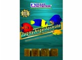 Frozen Pygmy Angel Formula  20 cubes  100g