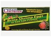 Artemia/Brine Shrimp Eggs  box   20g