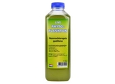 Phytoplankton Nannochloropsis gaditana - 1000 mL