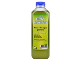 Phytoplankton Nannochloropsis gaditana - 1000 mL