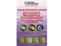 White Mosquito Larvae / Glassworms  20 cubes   100g