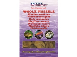 Whole Mussel  mono tray  100g