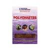 Polychaetes  mono tray  100g