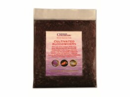 Cultivated Bloodworms Flatpack  454g