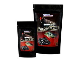 Colossus Q   Sinking  500g