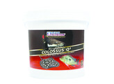 Colossus Q   Sinking  -  bucket  3000g