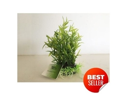 Reptech Terrarium plant  fine leaves