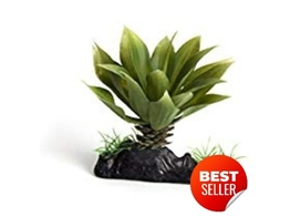 Reptech Terrarium plant  thick succulent