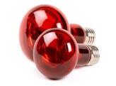 Infrared halogen lamp  42 watt R25 incl.  0 0826 recupel