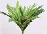 Curly Fern L 41cm