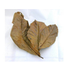 Dry almond leaves per 2 stuks/pieces  scanbaar/avec code barre 