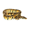 Python regius Ballpython Pastel Nakweek / Elevage S