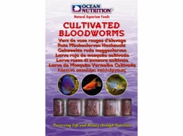 Cultivated Bloodworms 100g